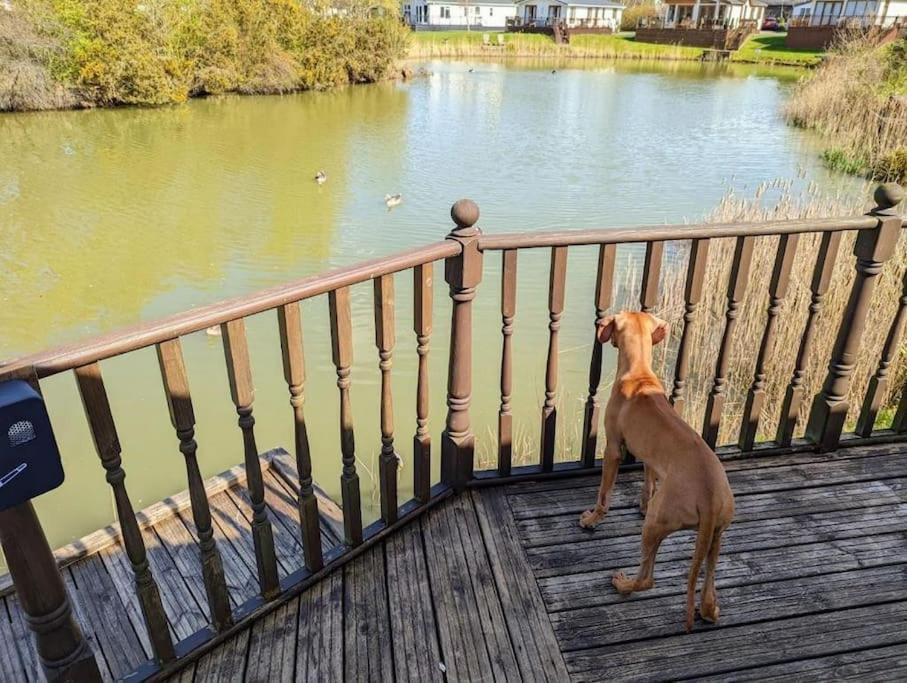 Lakeside View ウィスベック エクステリア 写真